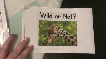 Guided Reading Level C (2) Video