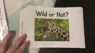 Guided Reading Level C (2) Video