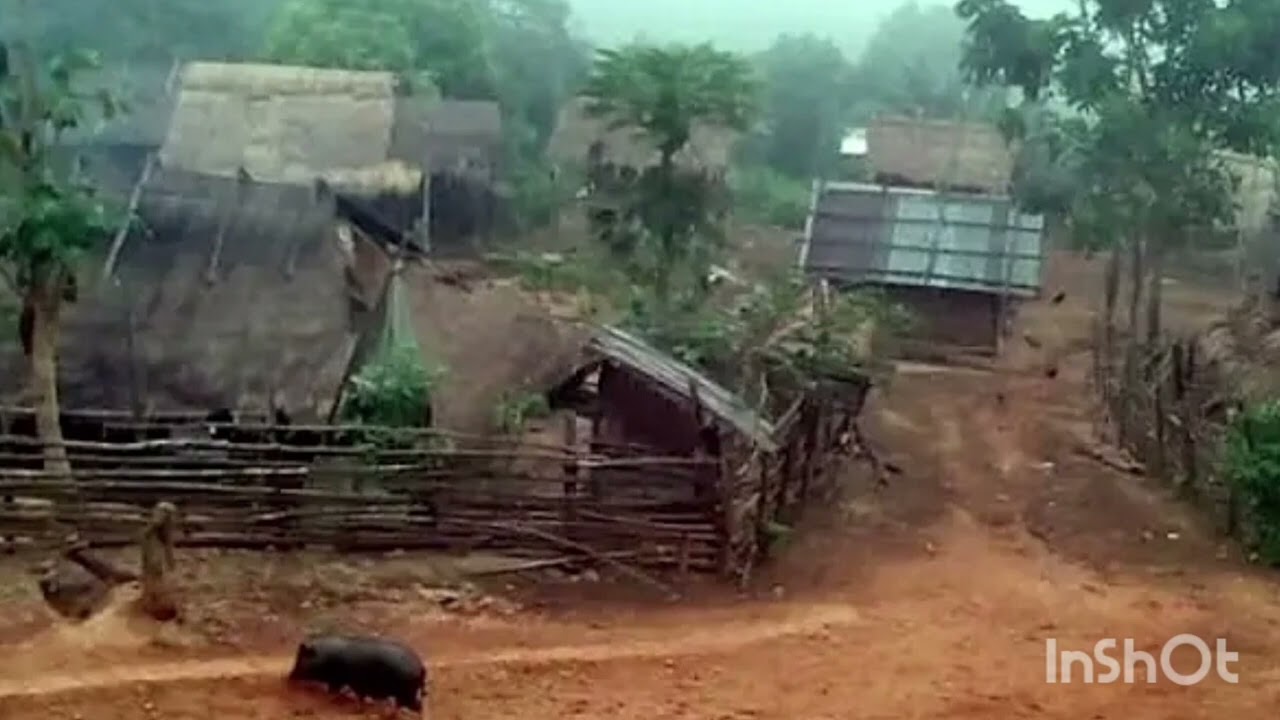 Dab tuag txaus ntshai CreepyStory