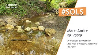 🌱 Les sols : ces compagnons que nous méconnaissons [Marc-André Selosse]