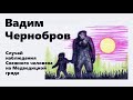 Вадим Чернобров. Йети на Медведицкой Гряде (архив, публикуется впервые)