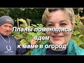 Влоги из Германии,Звонок мамы изменил наши планы,в огороде, на даче у свекрови, помогаем в огороде