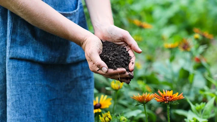 Building No-Till Soil for Flower Production | Wylde Flowers - DayDayNews