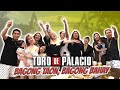 VLOG 234 TORO DE PALACIO