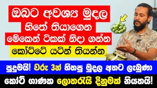 'ඔබට අවශ්‍ය ඕනෑම මුදලක් හිතාගෙන මේකෙන් ටිකක් කෝට්ටේ යටින් තියන්න' | පුදුමයි!හිතපු මුදල අතට ලැබුණා