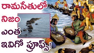 Ram Setu Mystery Revealed By American Science Channel | Unknown Facts About Hinduism | Telugu Panda