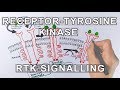 Receptor Tyrosine Kinases and Their Role in Cell Signaling