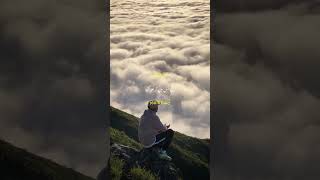 Quraan Translation