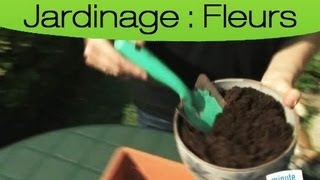 Comment bien planter des graines en pot 