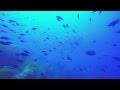 Catalina Island Points of Interest, Casino Building - YouTube