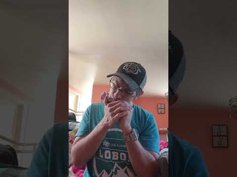 Cover Selena Dreaming of You Harmonica Cover