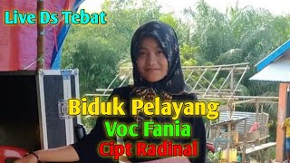 LAGU DAERAH JAMBI - BIDUK PELAYANG - VOC FANIA - CIPT RADINAL - ARR SYAFRIANO KAMEK@faniachannel09