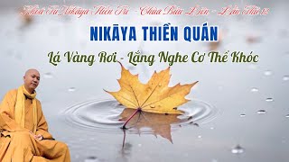 NIKAYA Thiền Quán - Lá Vàng Rơi - Lắng Nghe Cơ Thể Khóc - Khổ & Thương 4 **