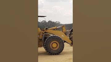 Unloading of logs in sawmill factory log yard! ep3 #trendingshorts