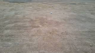 Pat Nolan's Dixie Cup KRD Drill - Finn 15 Weeks