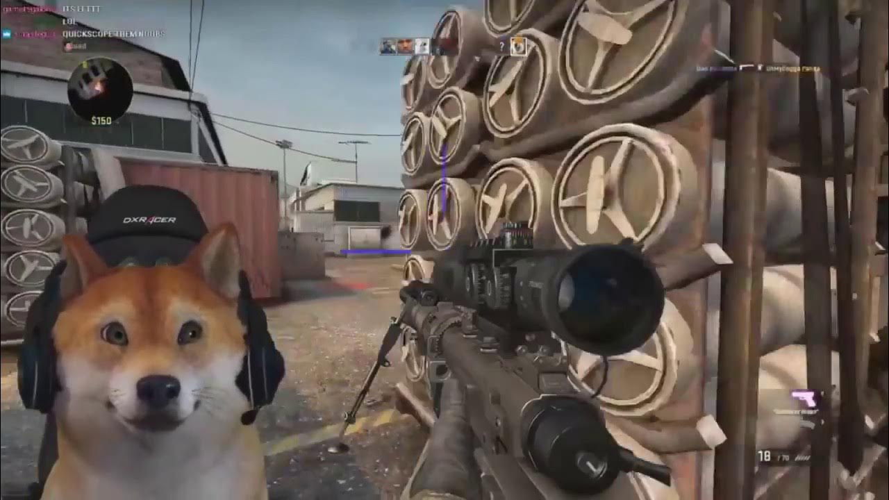 Facerig собака. доги стример. стример собака. стрим с собакой. собака стример фыф.