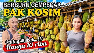 MURAH 10 RIBU, DAPAT CEMPEDAK SUPER ENAK SEGEDE GINI! | BERBURU CEMPEDAK PAK KOSIM JASINGA BOGOR