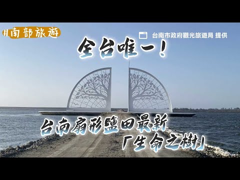 全台唯一！台南扇形鹽田最新「生命之樹」 還有絕美水上道路｜ETtoday旅遊雲