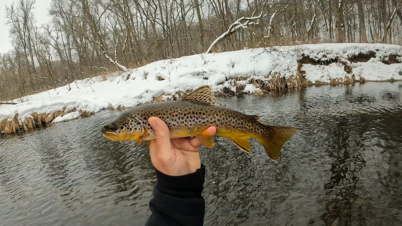 Wisconsin Trout Fishing 1/22/2023 YouTube
