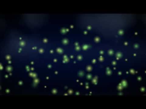 Fireflies