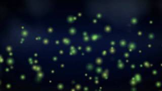Fireflies