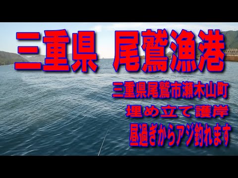 #38三重県尾鷲漁港埋め立て護岸夜のアオリイカウキ釣りファミリー家族連れサビキ釣りに良い昼過ぎからアジ釣れます車横付け釣り出来ます堤防アジング釣りポイント釣りスポット