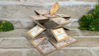 Pop Up Accordion Card