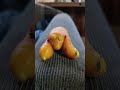 Он ,что-то видел на дне морском!