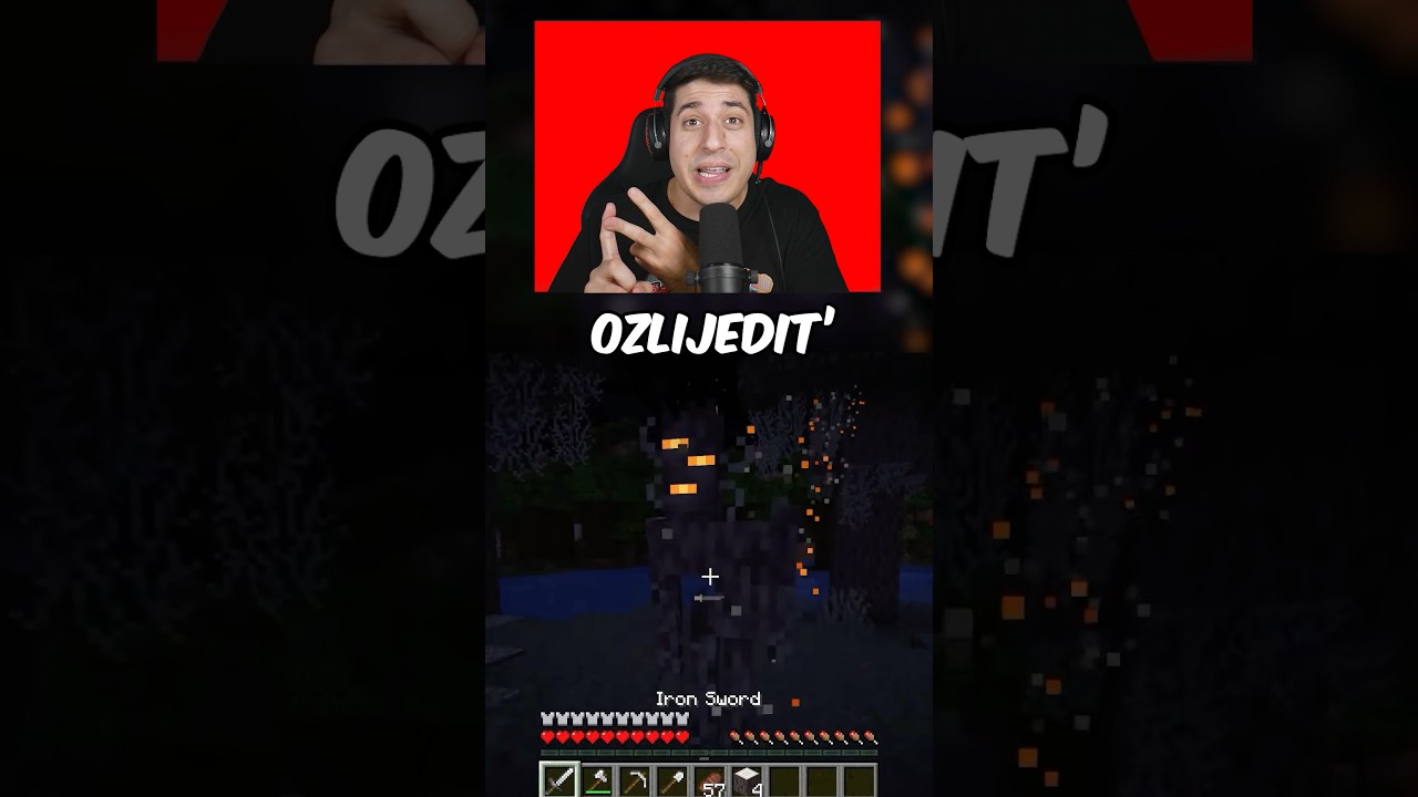 NOVO ČUDOVIŠTE U MINECRAFTU !!!