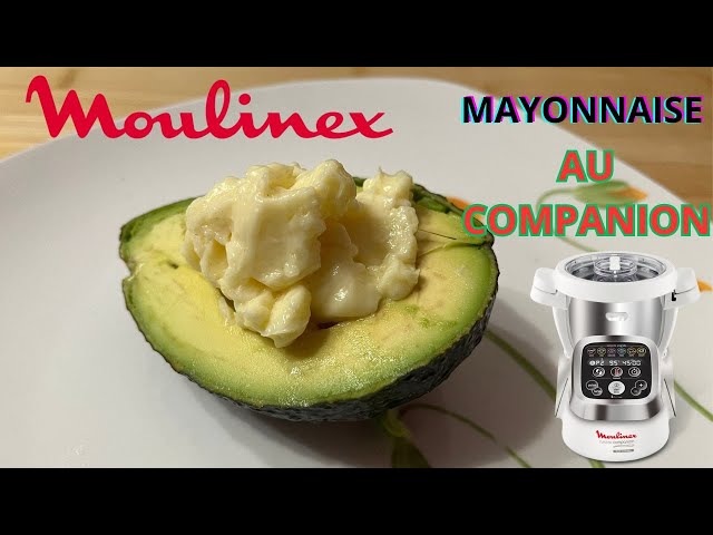 Le Mayonnaise Success de Moulinex marche t-il VRAIMENT ? {crash-test &  vidéo} - Rose & Cook