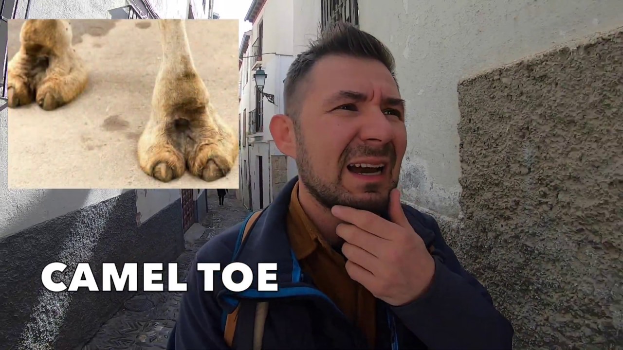 Co to jest "Camel Toe?" - Amerykański Slang