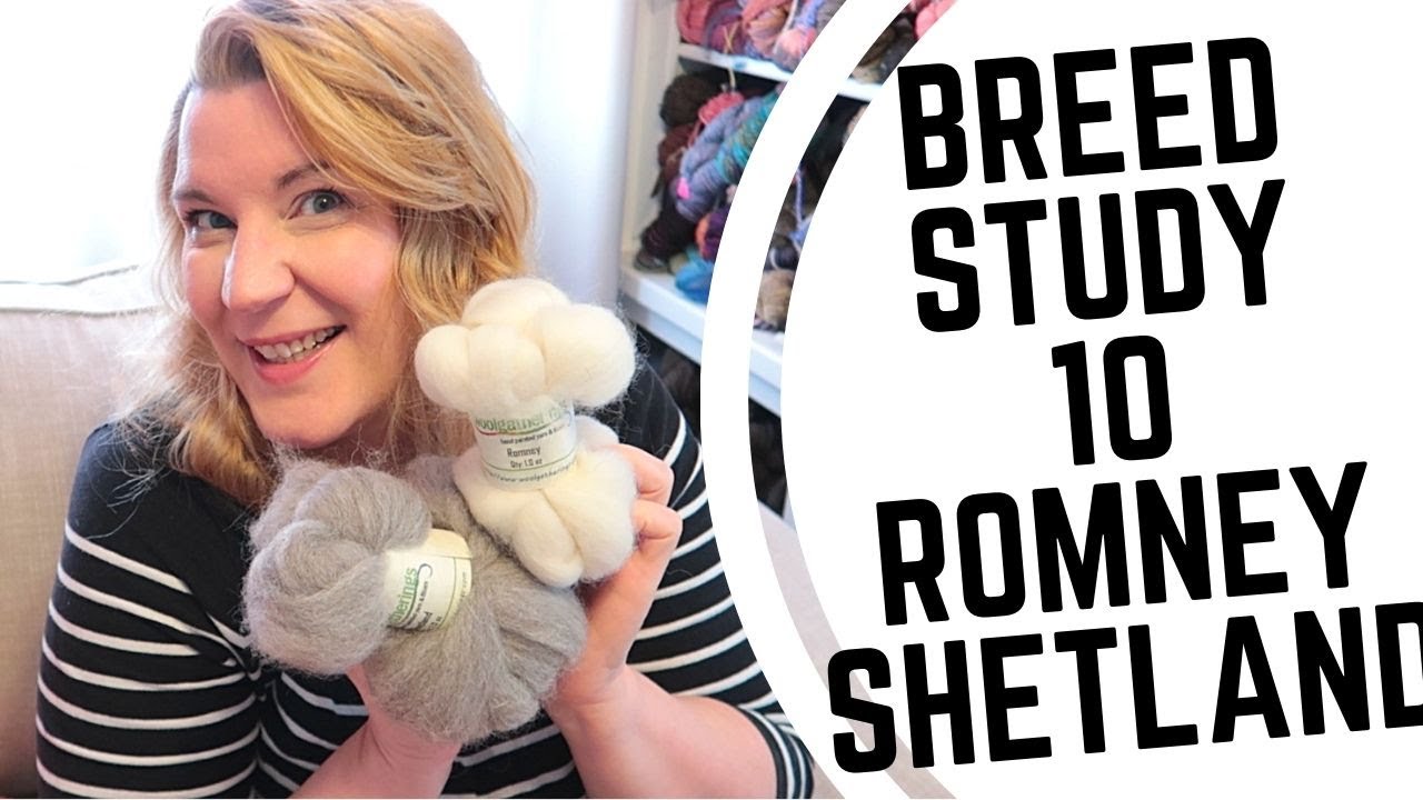 Breed Study 10-Romney & Shetland Spinning Wool Into Yarn