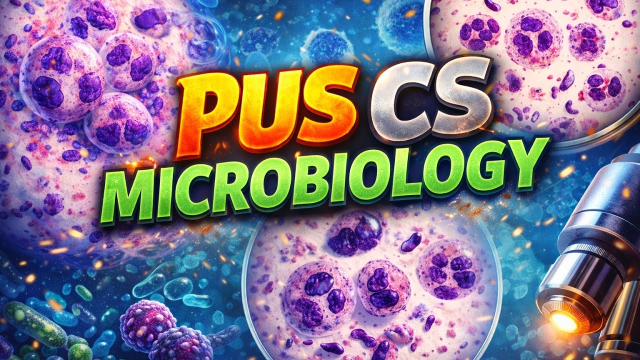 PUS Culture and  Sensitivity 