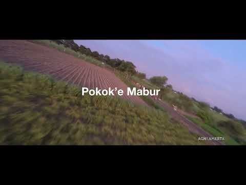 Pokok’e Mabur + Ngopi   Fpv Drone Kediri