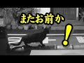 庭に来やがる迷惑な猫s 3