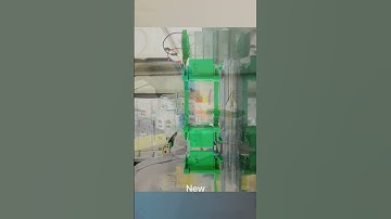 Running SDS-PAGE: A Day in a lab #science #experiment #lab