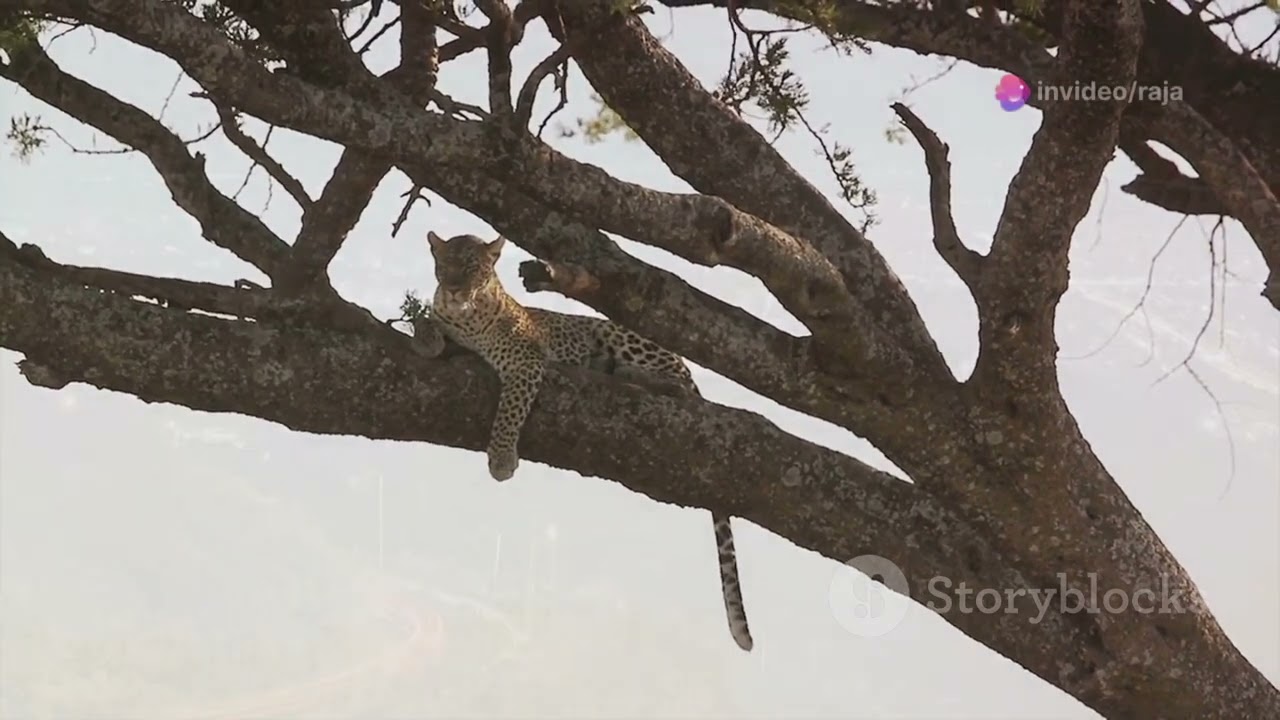 Amazing Facts About Islamabad