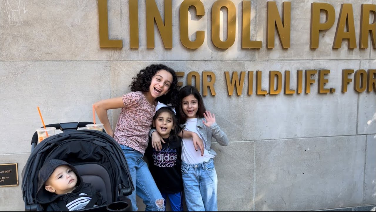 Lincoln Park Zoo & Family Fun - YouTube