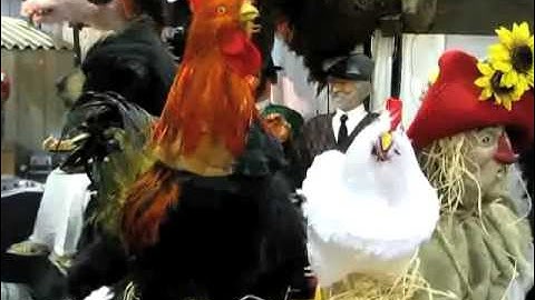HAUNTEDPROPS.COM ANIMATED TALKING CHICKENS