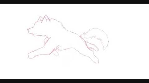 wolf running animation test