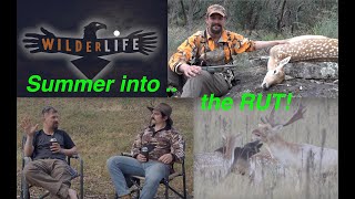 Summer into the Rut  Fallow Deer Behaviour and Hunting tactics