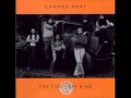 Canned Heat - The Ties That Bind - 07 - I Idolize You