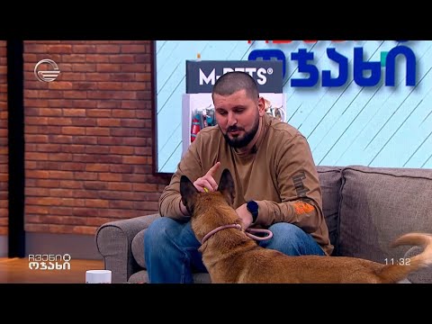 როგორ უნდა გავწვრთნათ სწორად ჩვენი ოთხფეხა მეგობრები - ზვიად ჩიხლაძის რჩევები