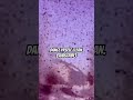 3AM RAVE DEATH #shorts #remix