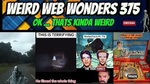 weird web wonders 375