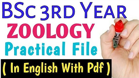 #BSc 3rd year Zoology Practical file in English #bsc2023
