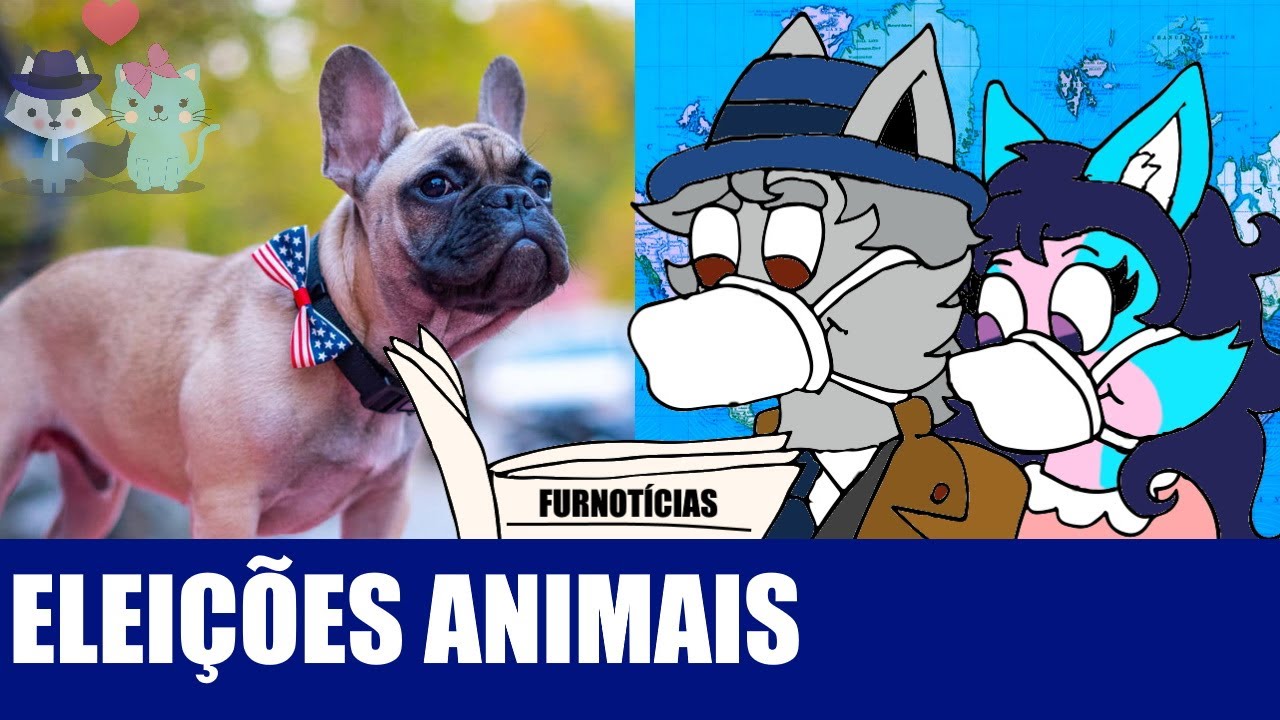 Eleições Animais, Tom e Jerry O Filme, Animal Crossing New Horizons (#Furnotícias 013)