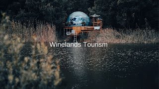 Discover the Western Cape and Cape Town Winelands