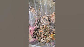 Food waste is processed by our composting machine and converted into fertilizer.