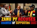 WATCH Zanupf Accuses Chamisa Of Supporting CAB3 